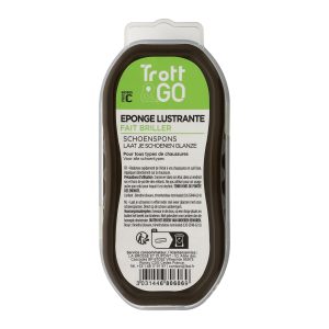 Éponge lustrante